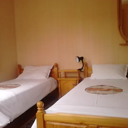 Borova House Pensiune 3*