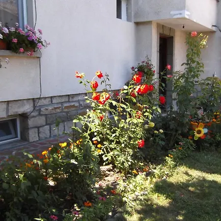 Borova House 3*