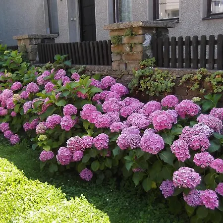 Borova House Tryavna