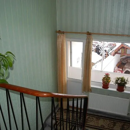 Pensiune Borova House