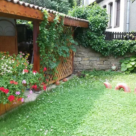 Borova House 3* Treavna