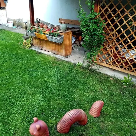 Borova House Pensiune