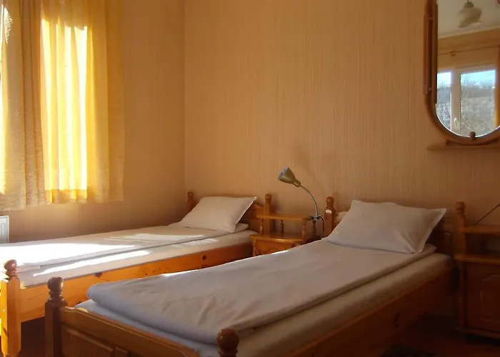 Borova House 3* Tryavna