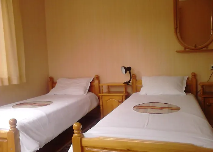 Borova House Maison d'hôtes 3*