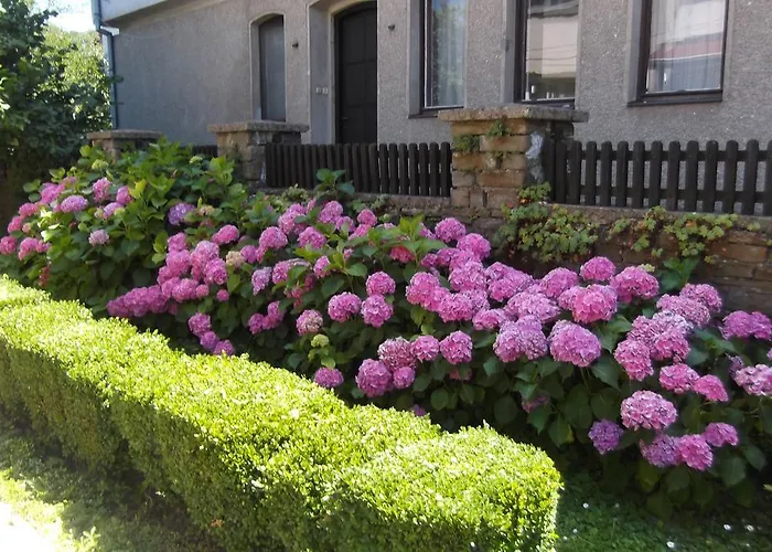 Maison d'hôtes Borova House Tryavna