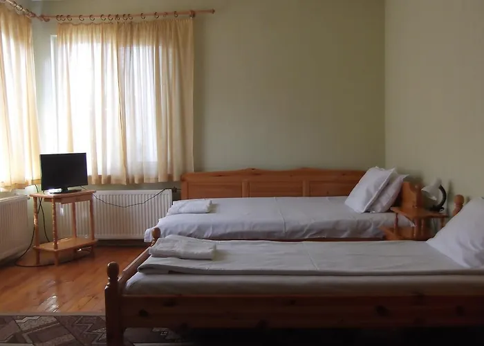 Borova House Maison d'hôtes Tryavna