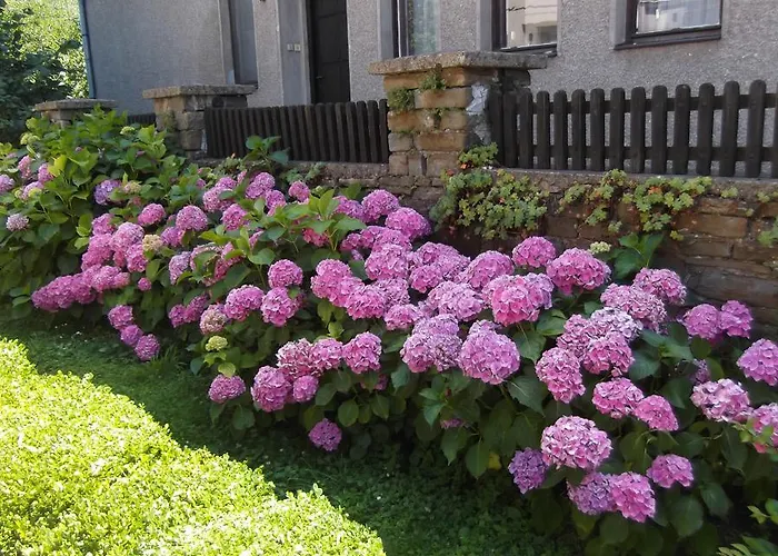 Borova House Tryavna