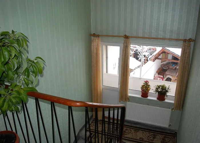 Maison d'hôtes Borova House