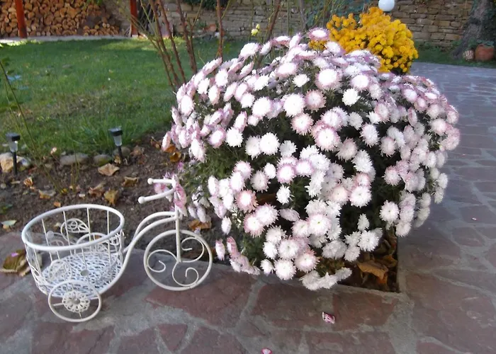 Maison d'hôtes Borova House 3*