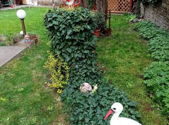 Maison d'hôtes Borova House